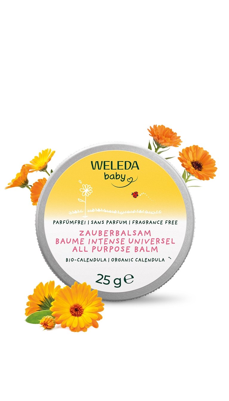 Weleda Bálsamo Multiusos de Caléndula 25g - WELEDA - cosmética natural