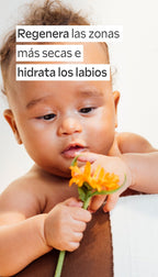 Weleda Bálsamo Multiusos de Caléndula 25g - WELEDA - cosmética natural