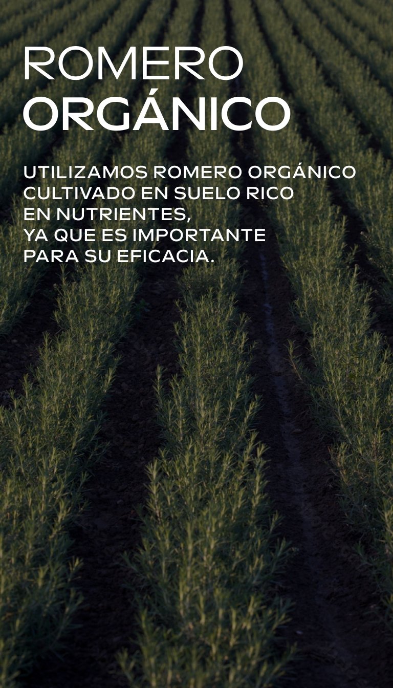 Weleda Acondicionador Revitalizante de Romero 150ml - WELEDA - cosmética natural