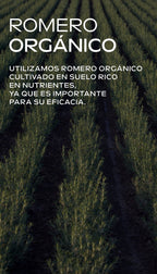 Weleda Acondicionador Revitalizante de Romero 150ml - WELEDA - cosmética natural