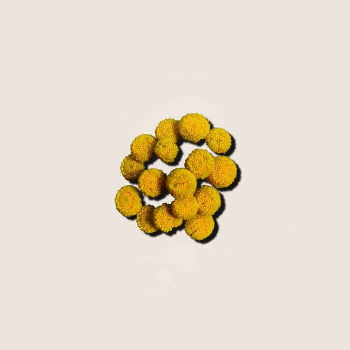 Alqvimia Aceite Esencial de Helicriso 5ml