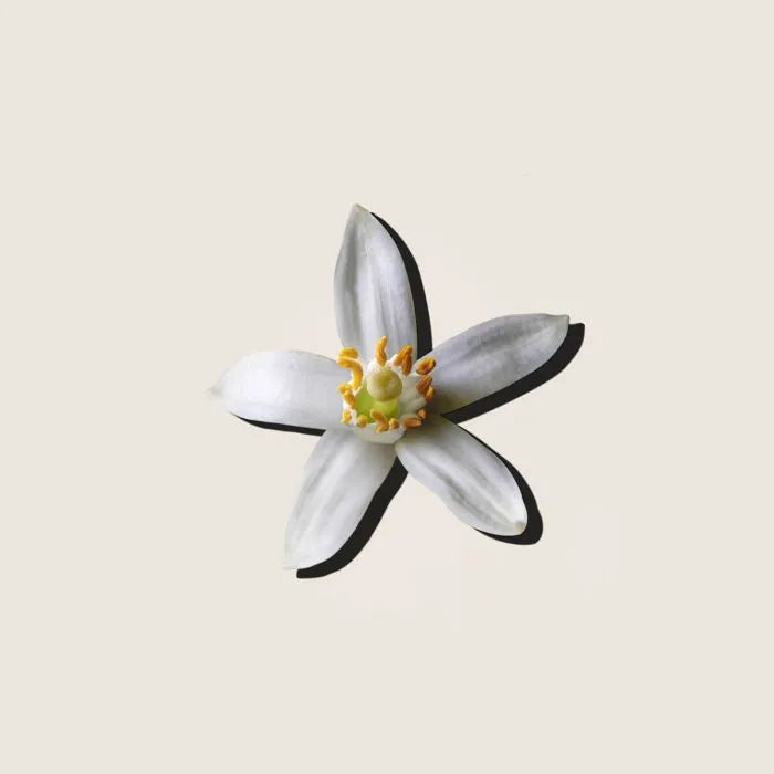 Aceite Esencial de Neroli de Alqvimia 5ml