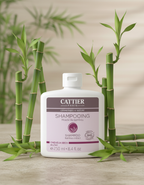 Cattier Champu para Cabello Seco con Bambu 250ml