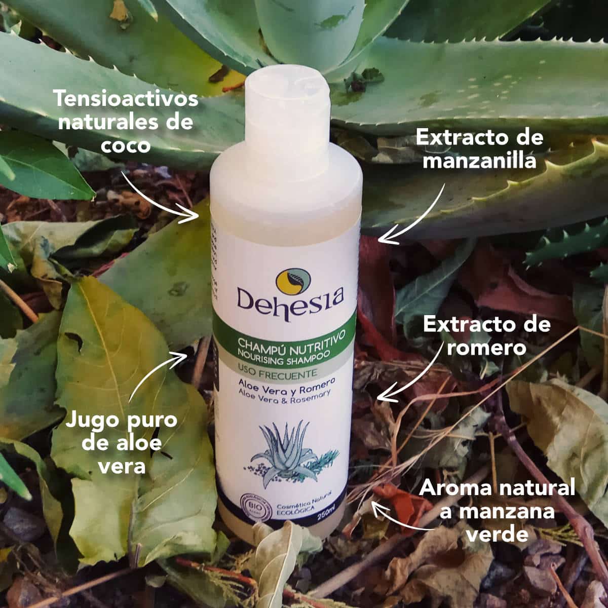 Dehesia Champú Nutritivo BIO con Aloe Vera y Romero 250ml