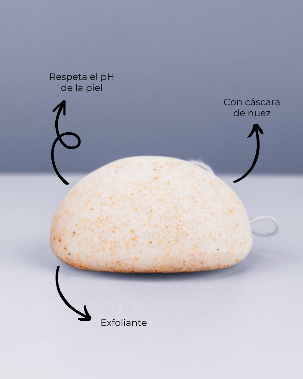Banbu Esponja Konjac Facial Exfoliante con Nuez - BANBU - cosmética natural