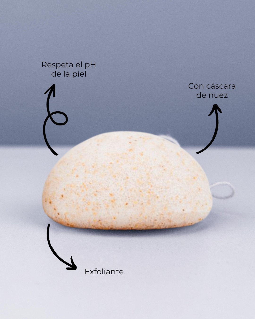 Banbu Esponja Konjac Facial Exfoliante con Nuez - BANBU - cosmética natural