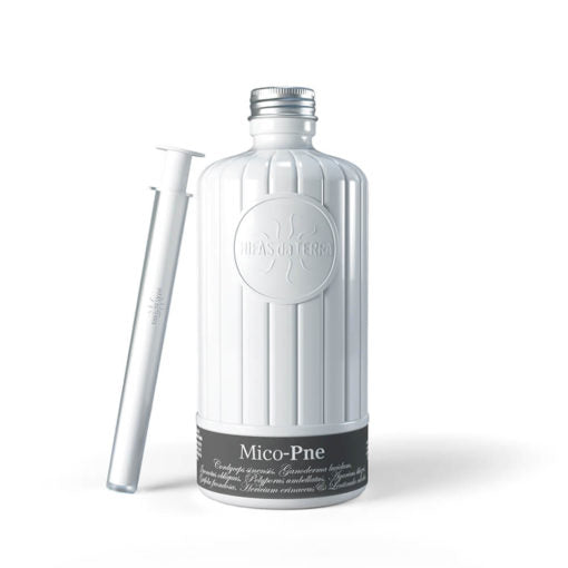 Hifas da Terra Mico-Pne 2.0