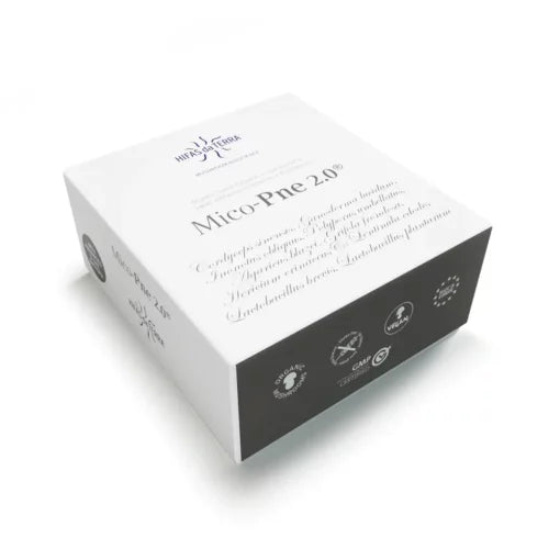 Hifas da Terra Mico-Pne 2.0