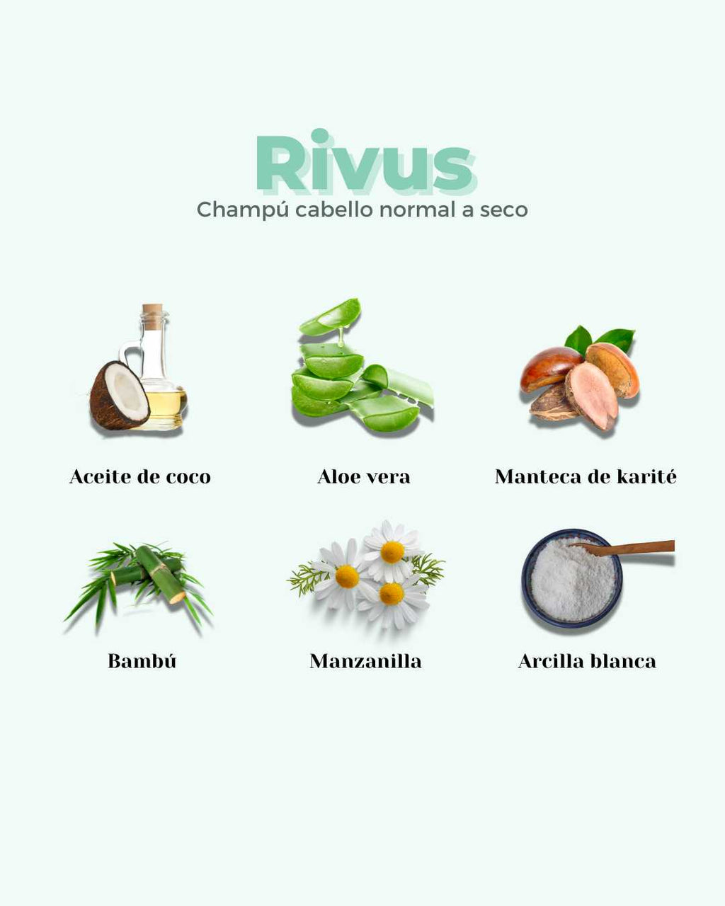 Banbu Champú Sólido Cabello Normal y Seco Rivus 75g - BANBU - cosmética natural