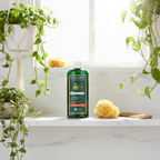 Logona Champu Reflejos Rojizos con Henna 250ml