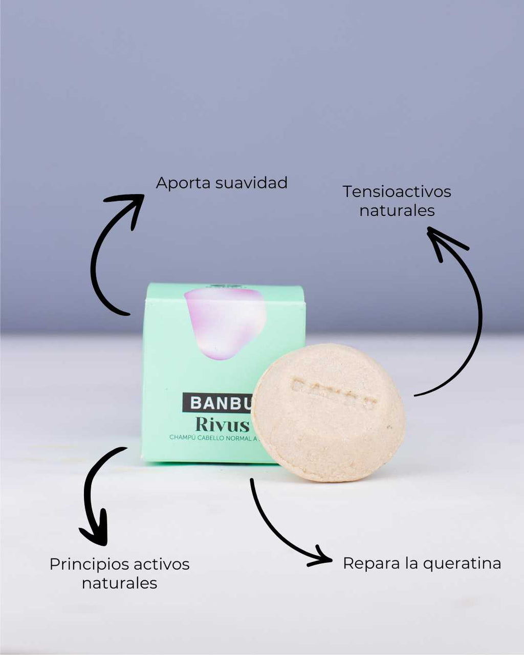 Banbu Champú Sólido Cabello Normal y Seco Rivus 75g - BANBU - cosmética natural
