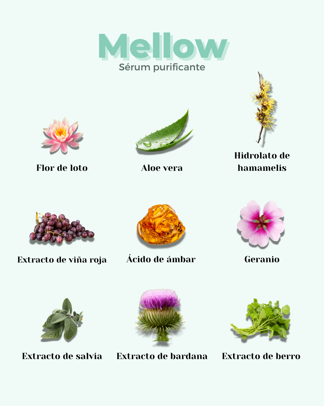 Banbu Sérum Facial Piel Grasa Mellow 30ml - BANBU - cosmética natural