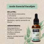 Labnatur Bio Aceite Esencial de Eucalipto Ecológico 30ml - LABNATUR BIO - cosmética