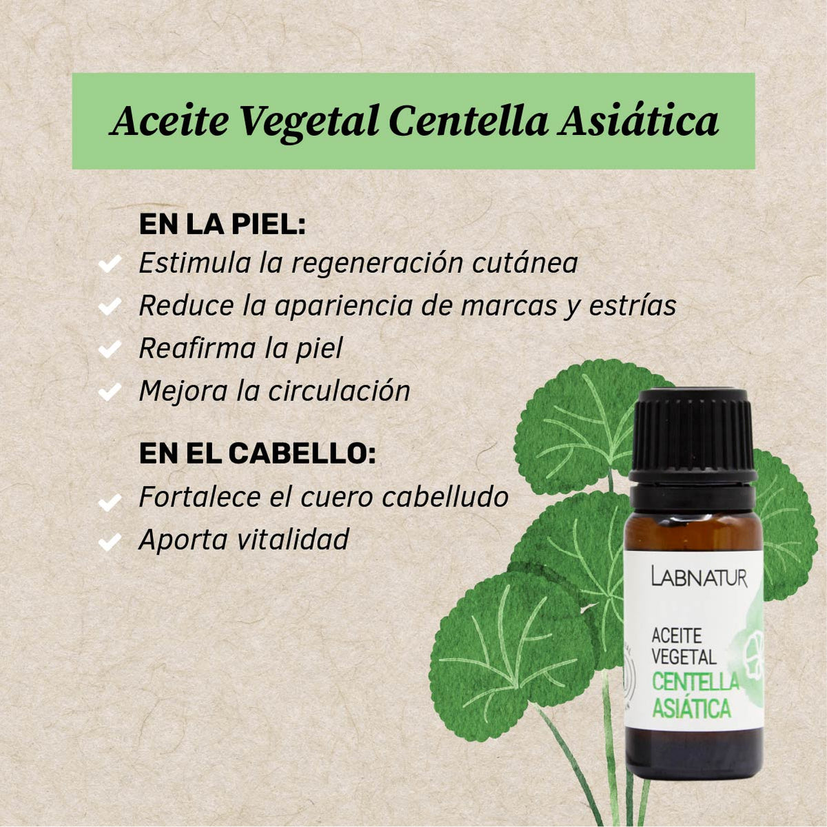 Labnatur Aceite Vegetal de Centella Asiática 10ml - LABNATUR BIO - cosmética
