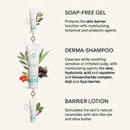 Dhyvana Baby & Family Derma-Shampoo Champú Natural 250ml - DHYVANA - cosmética natural
