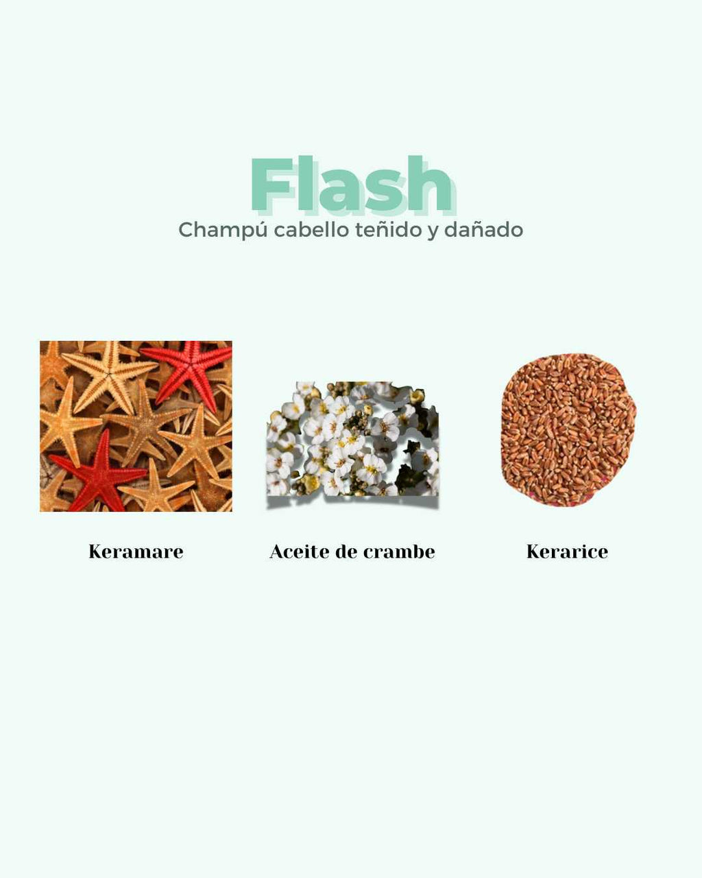 Banbu Champú Sólido Reparador Flash 75g - BANBU - cosmética natural