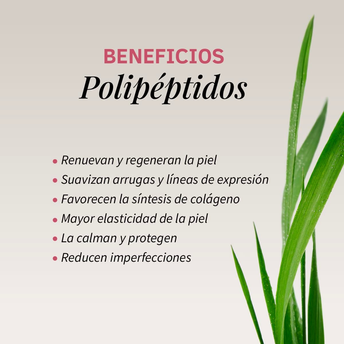 Labnatur Crema Facial Tensor Effect con Péptidos 50ml - LABNATUR BIO - cosmética