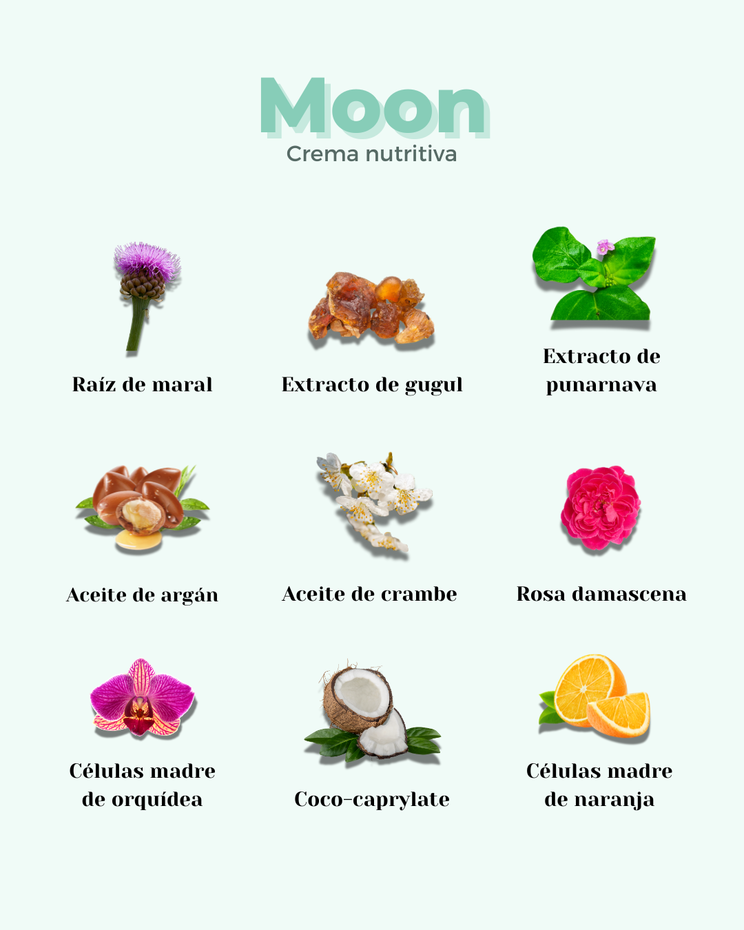 Banbu Crema Facial Nutritiva Moon 50ml - BANBU - cosmética natural