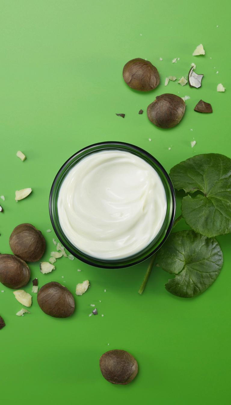 Weleda Skin Food Crema de Noche 40ml - WELEDA - cosmética natural