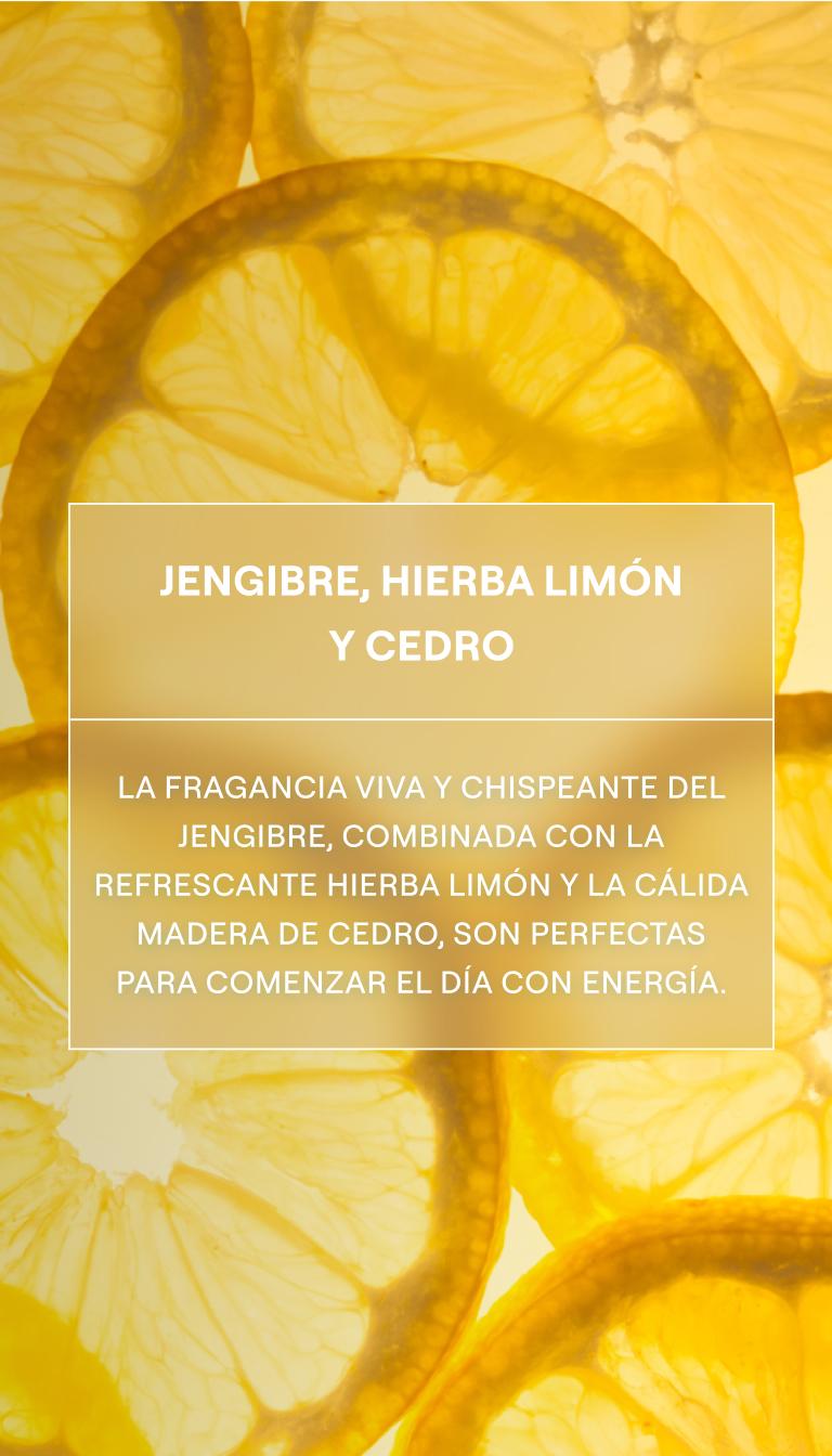 Weleda Gel de Ducha Cremoso Citrus 400ml - WELEDA - cosmética natural