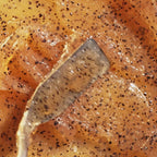 Freshly Cosmetics Golden Radiance Body Scrub 100ml
